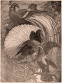 Gravure : Oiseaux de paradis