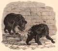 Gravure : La fosse aux ours