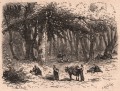 Gravure : Cueillette des champignons en forêt de Fontainebleau